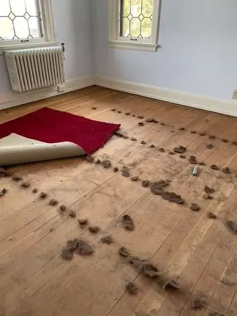 A room with a wooden floor and a red rug on it.