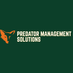 Stinging Insect Removal | Predator Management