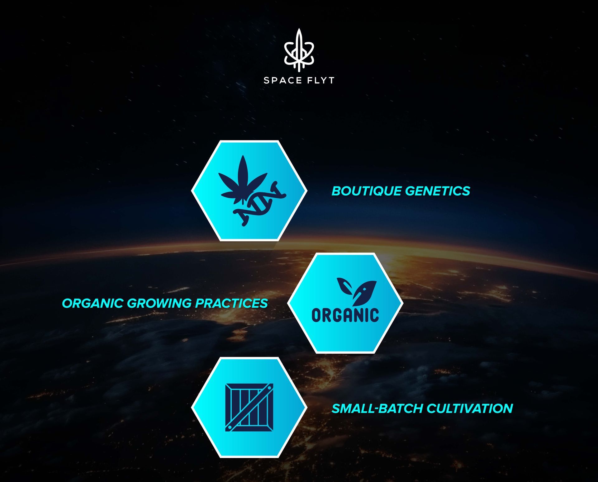 Discover how premium cannabis is transforming the business through craft-inspired quality and thoughtful cultivation Spaceflyt
premium cannabis 2025
craft cannabis movement
boutique cannabis genetics
organic cannabis cultivation
small-batch cannabis products
artisanal weed trends