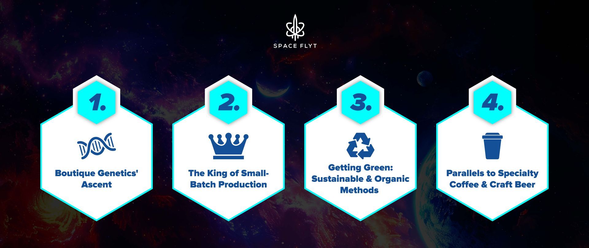 •	boutique cannabis strains
•	rare cannabis genetics 2025
•	small-batch cannabis production
•	hand-trimmed cannabis
•	artisan marijuana brands
•	organic cannabis 2025
•	sustainable weed brands
•	pesticide-free marijuana
Spaceflyt