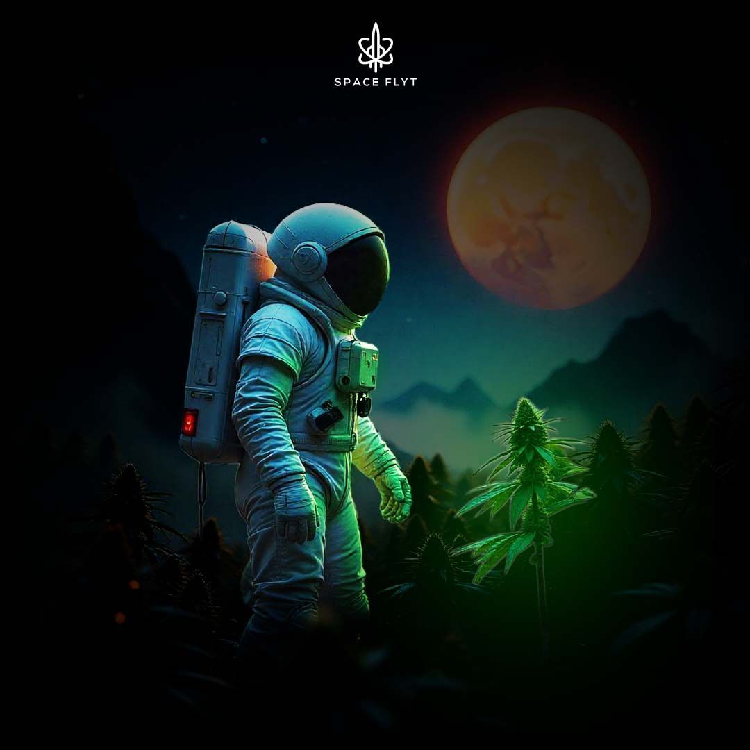 Spaceflyt
Cannabis
CBG CBD THCV