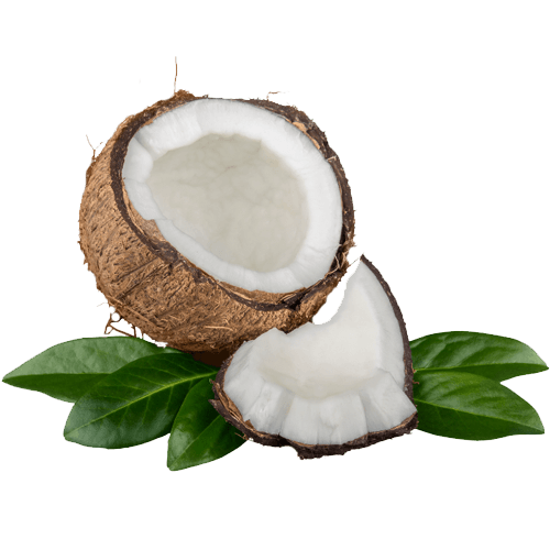 coconut