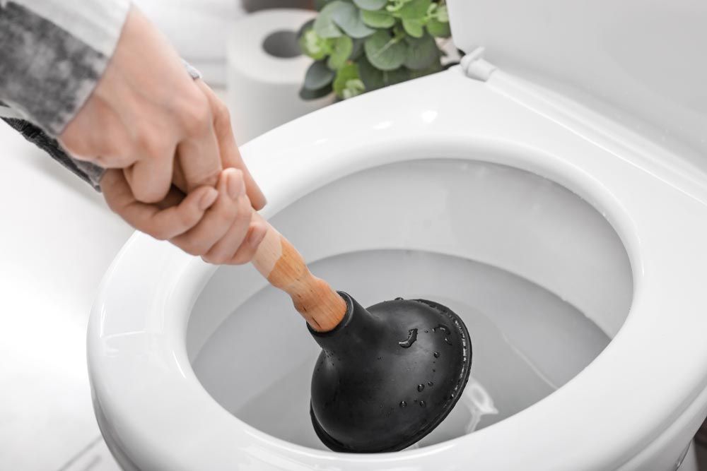 Using Plunger On Toilet — Nudge's Plumbing in Dubbo, NSW