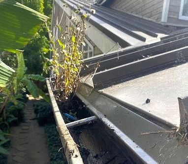 Gutter Cleaning in San Diego, CA
