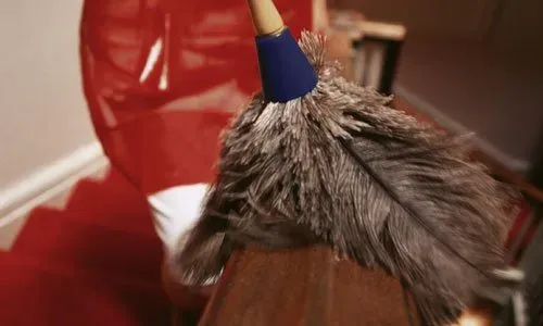 Feather Duster — Schenectady, NY — Paige's Janitorial Cleaning Service and Floor Care