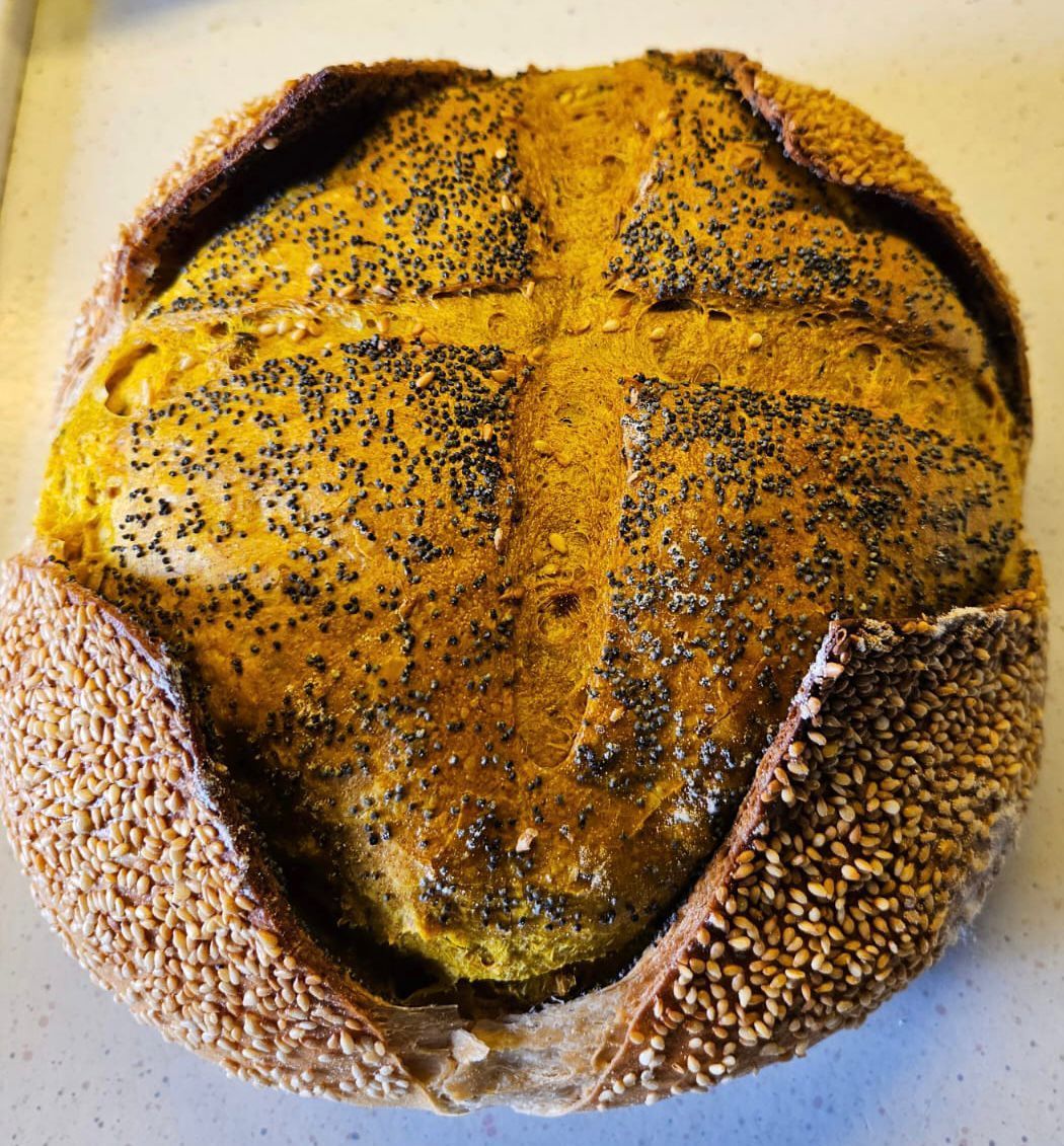 il forno bio di giò 5