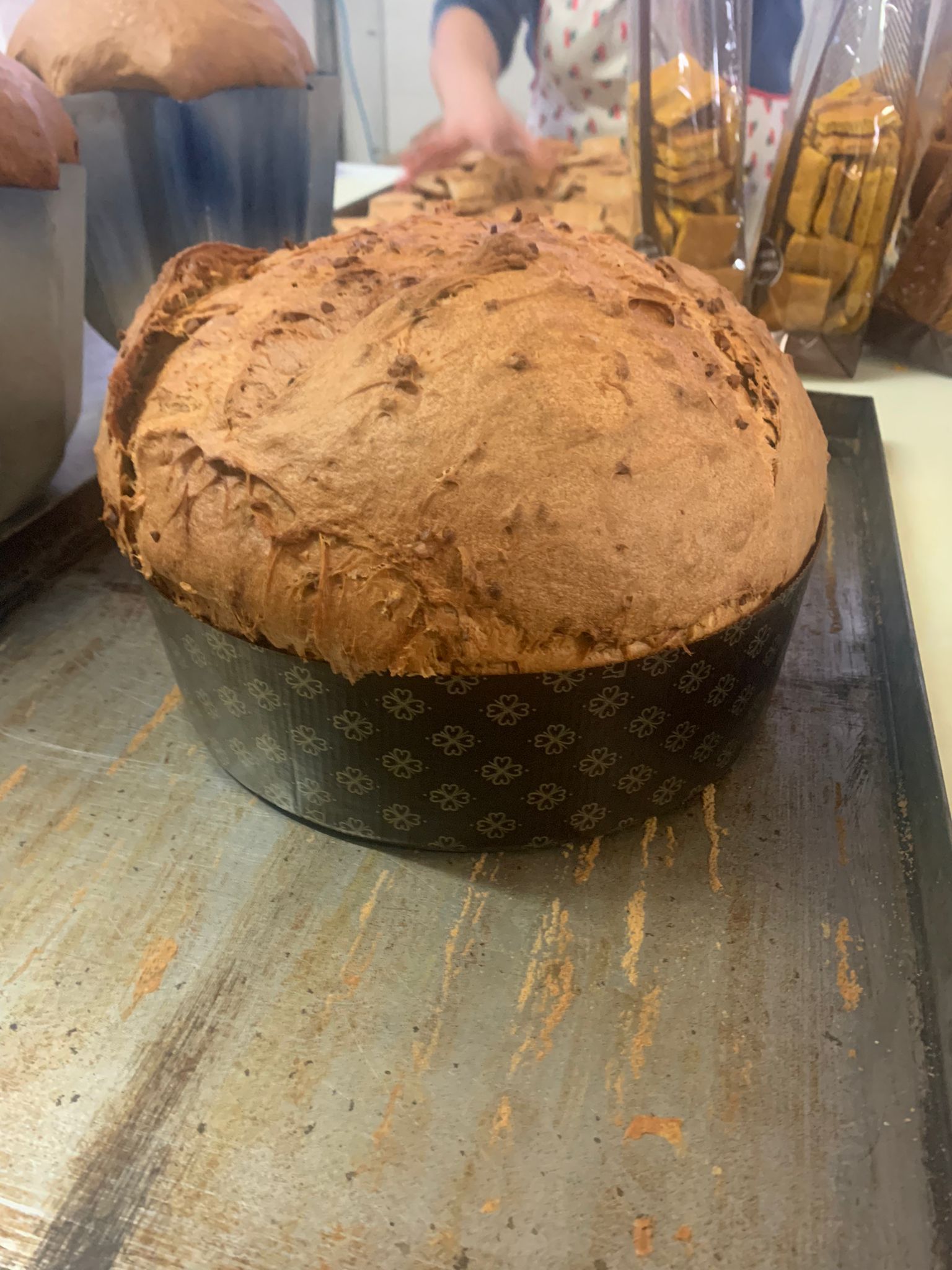 il forno bio di giò 5