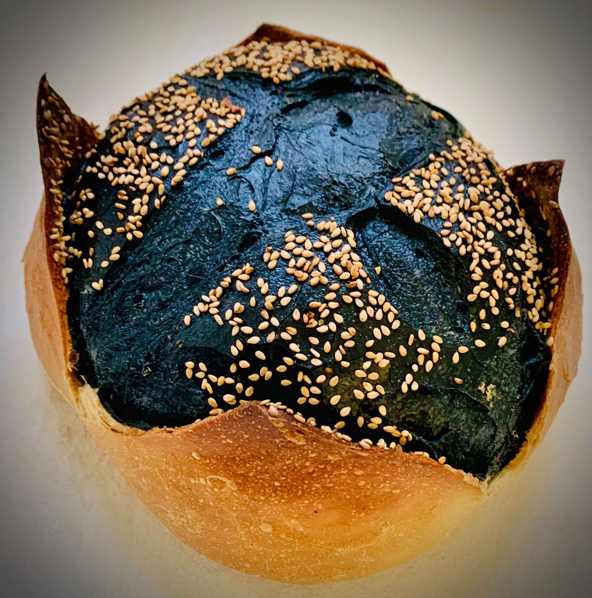 il forno bio di giò  2