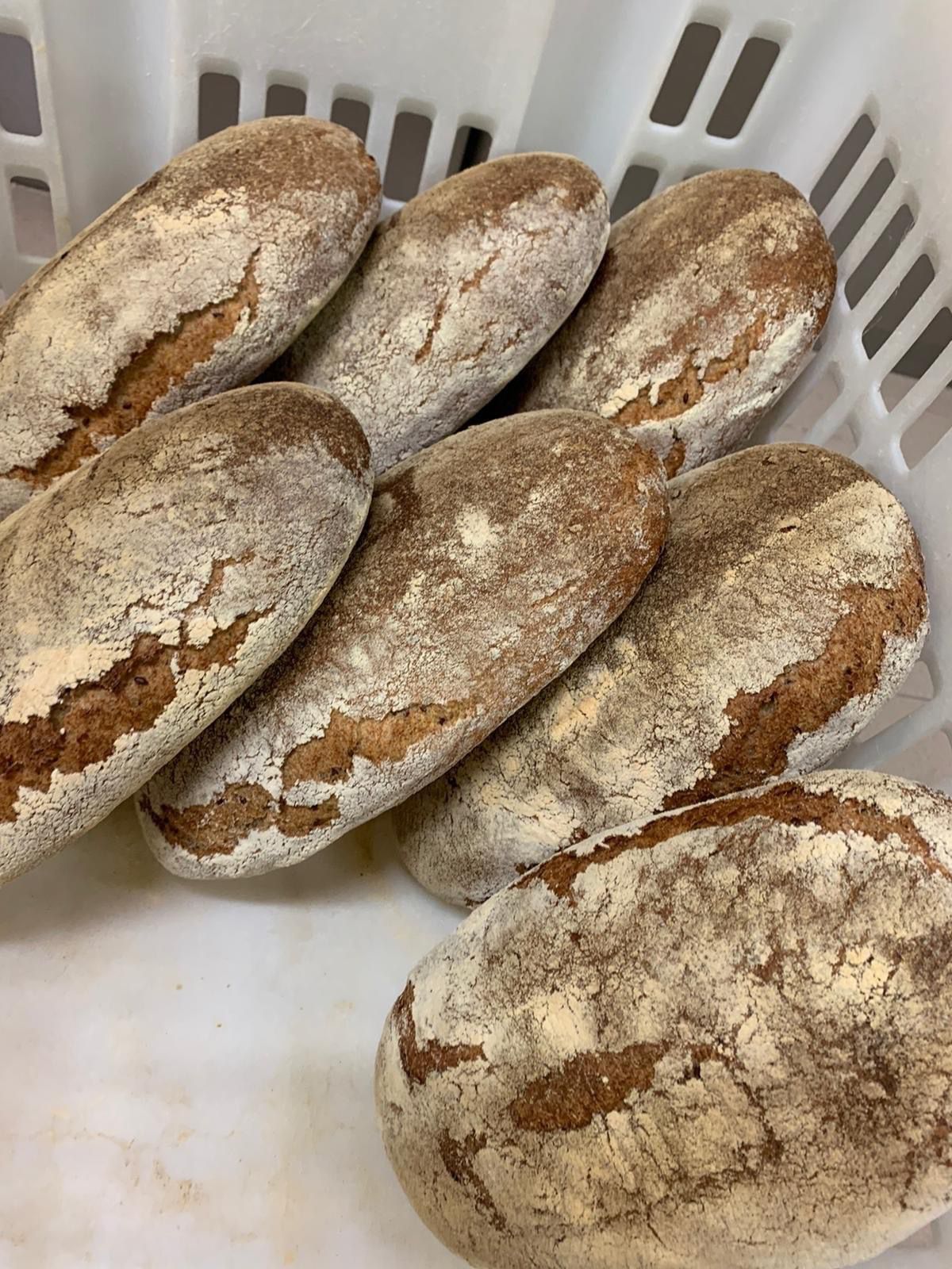 il forno bio di giò  3