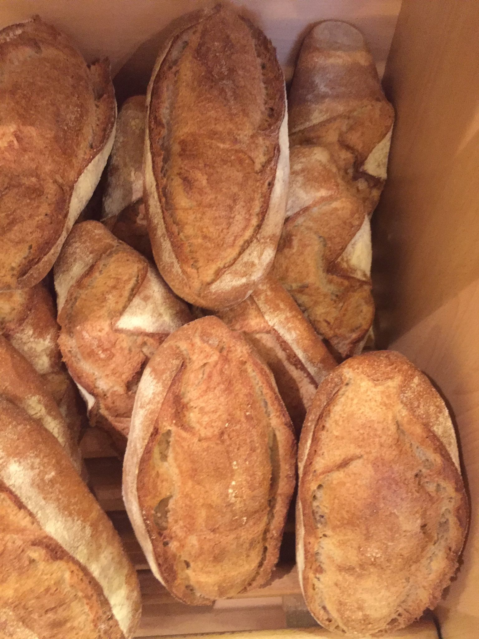 il forno bio di giò 4