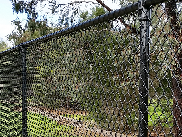 Black chain-link fence beside a grassy path with trees in the background