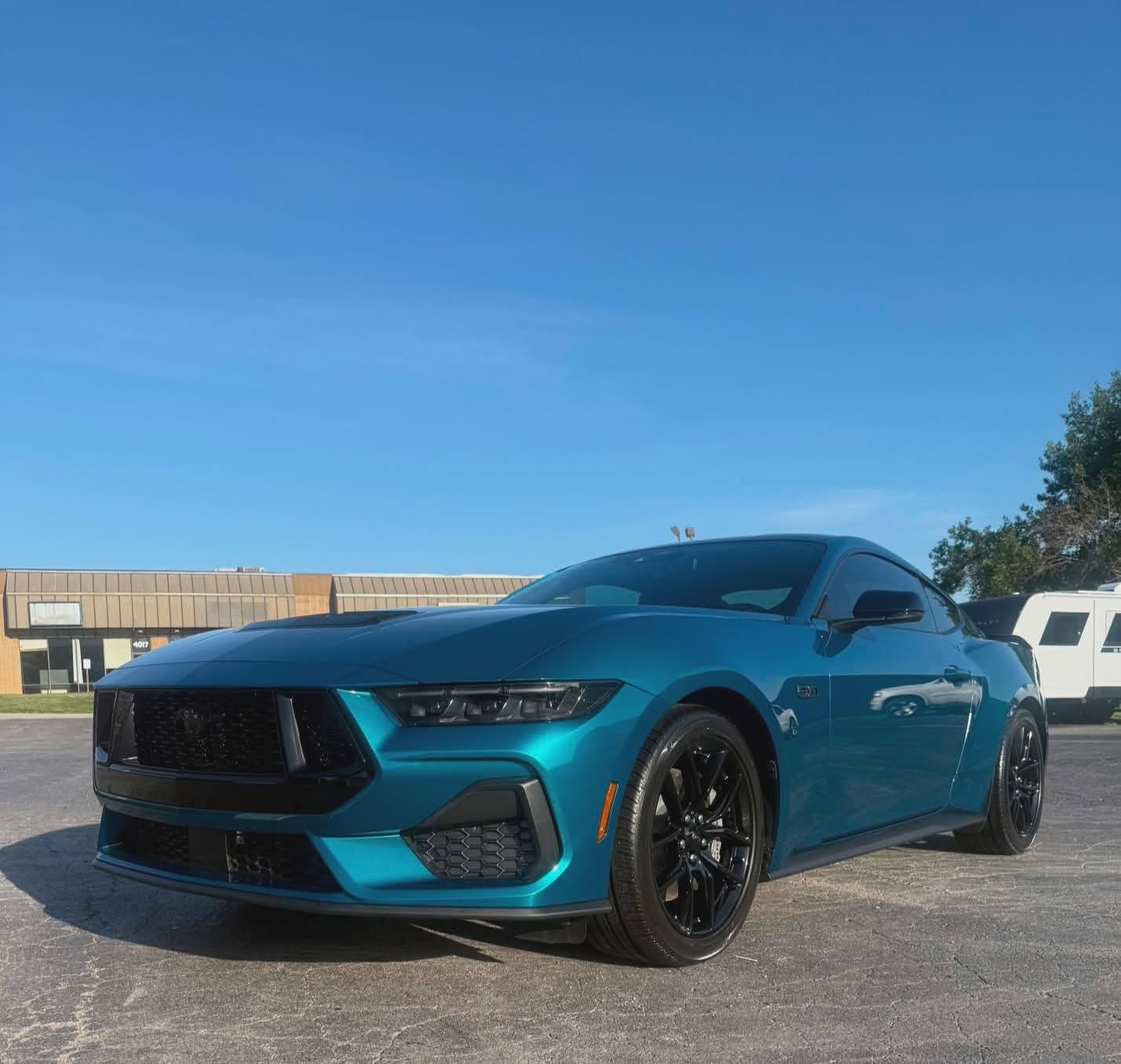 mustang window tint