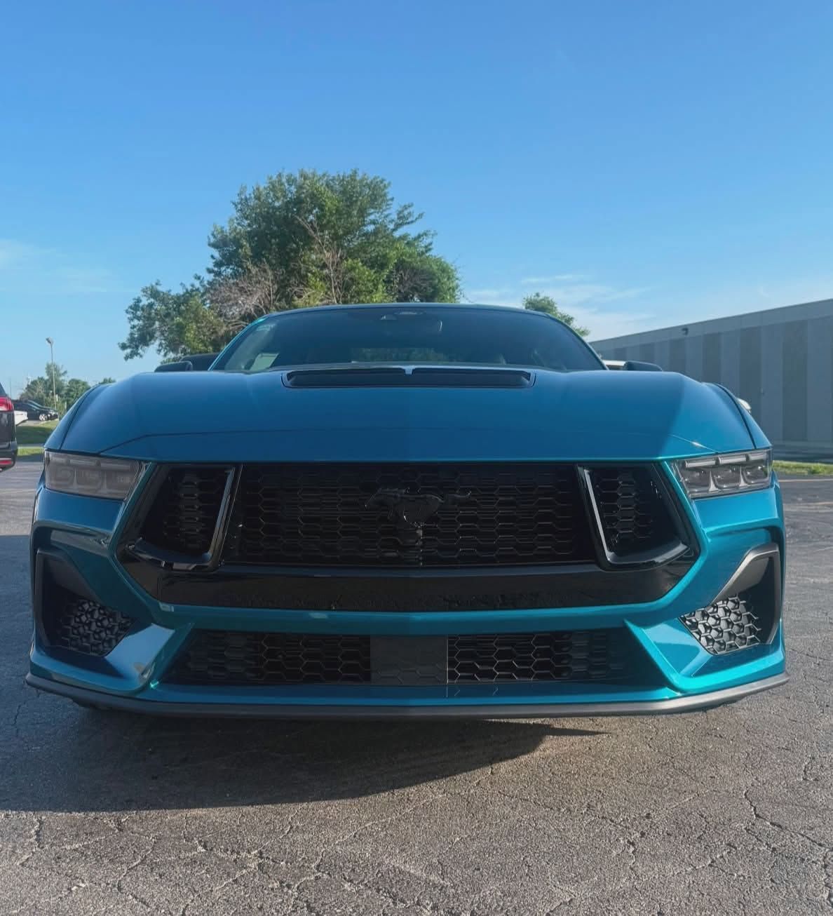 Dark Horse Mustang ceramic coating
