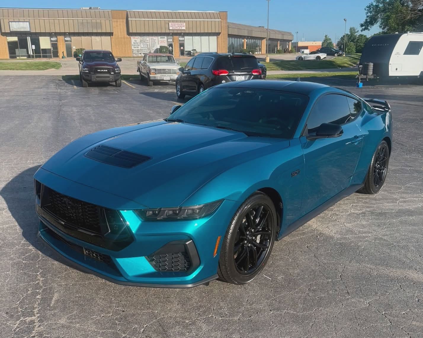 can professional detailing remove pet hair from cars