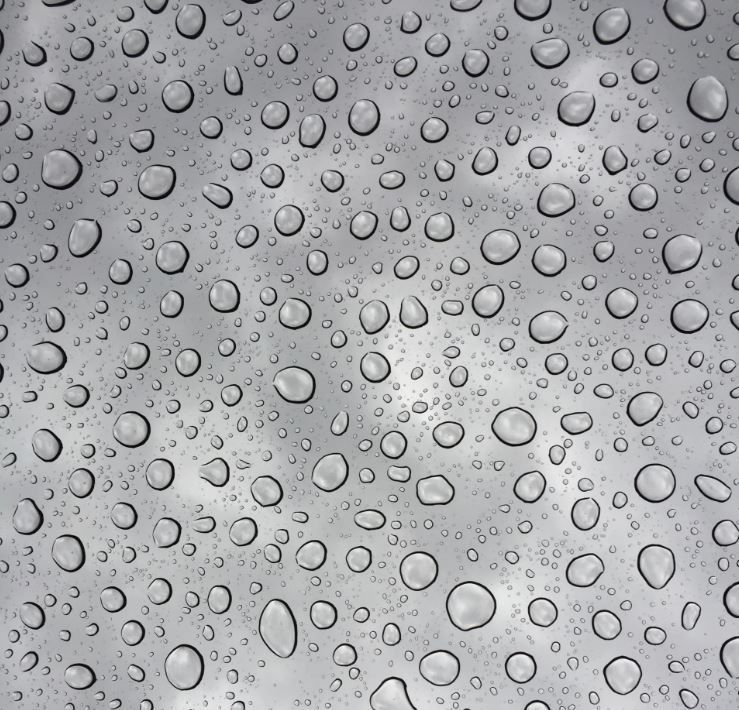 Professional Ceramic coating Services
