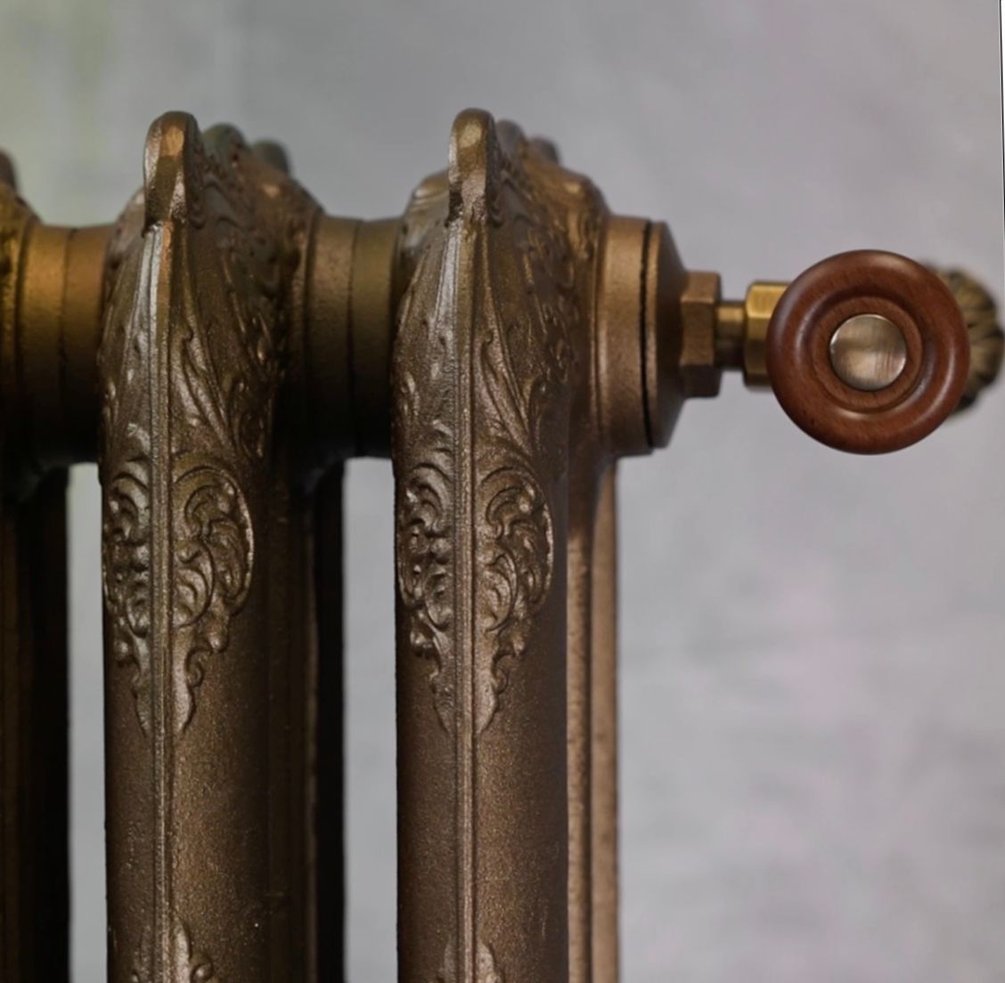 Gussheizkörper FORTUNA in modernem Flur