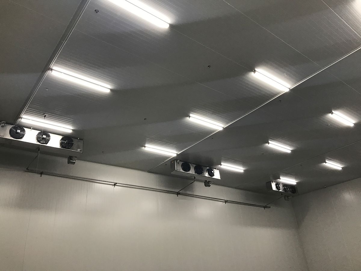 A room with a lot of lights on the ceiling.