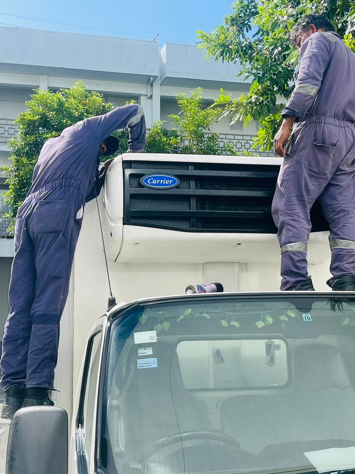 Freezer truck in Maldives