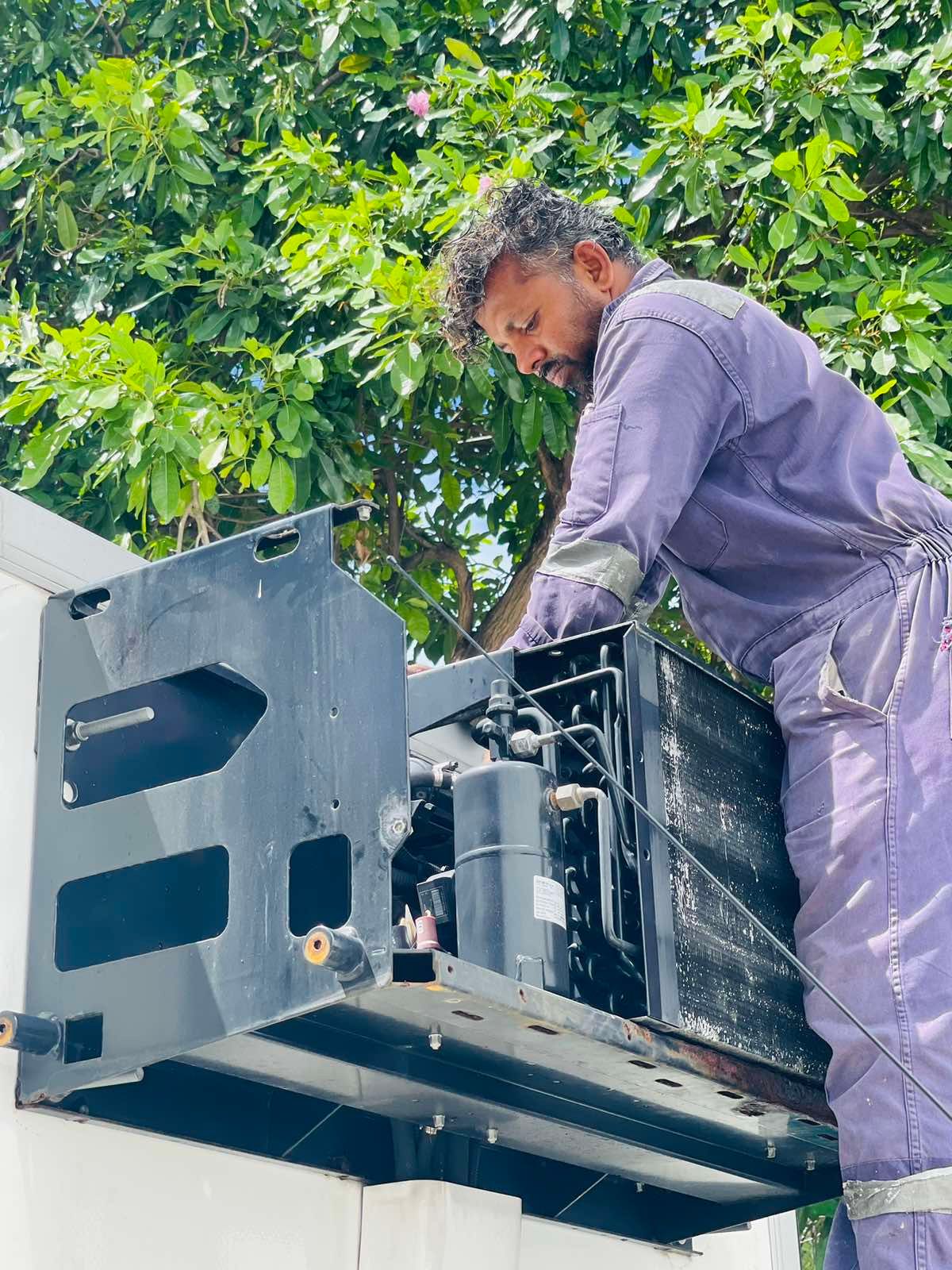 Refrigerated truck in Maldives