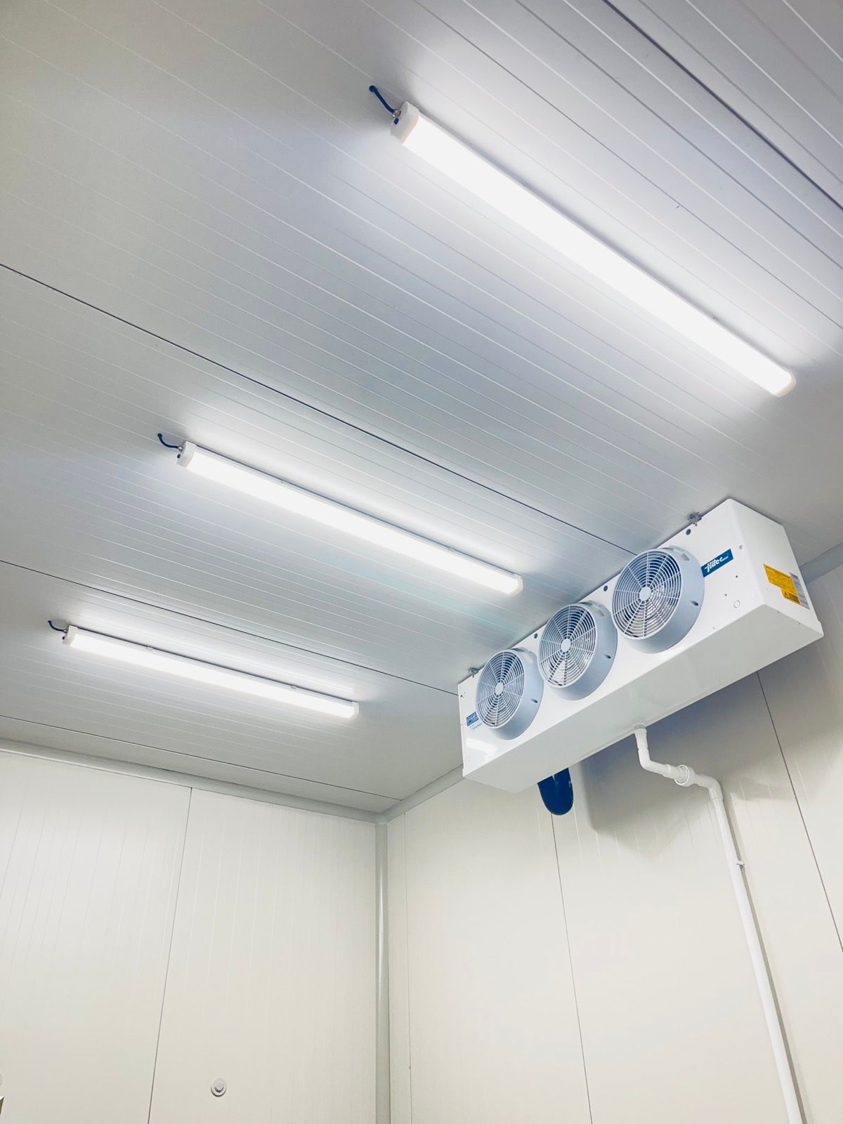 A room with a ceiling fan and lights on it.