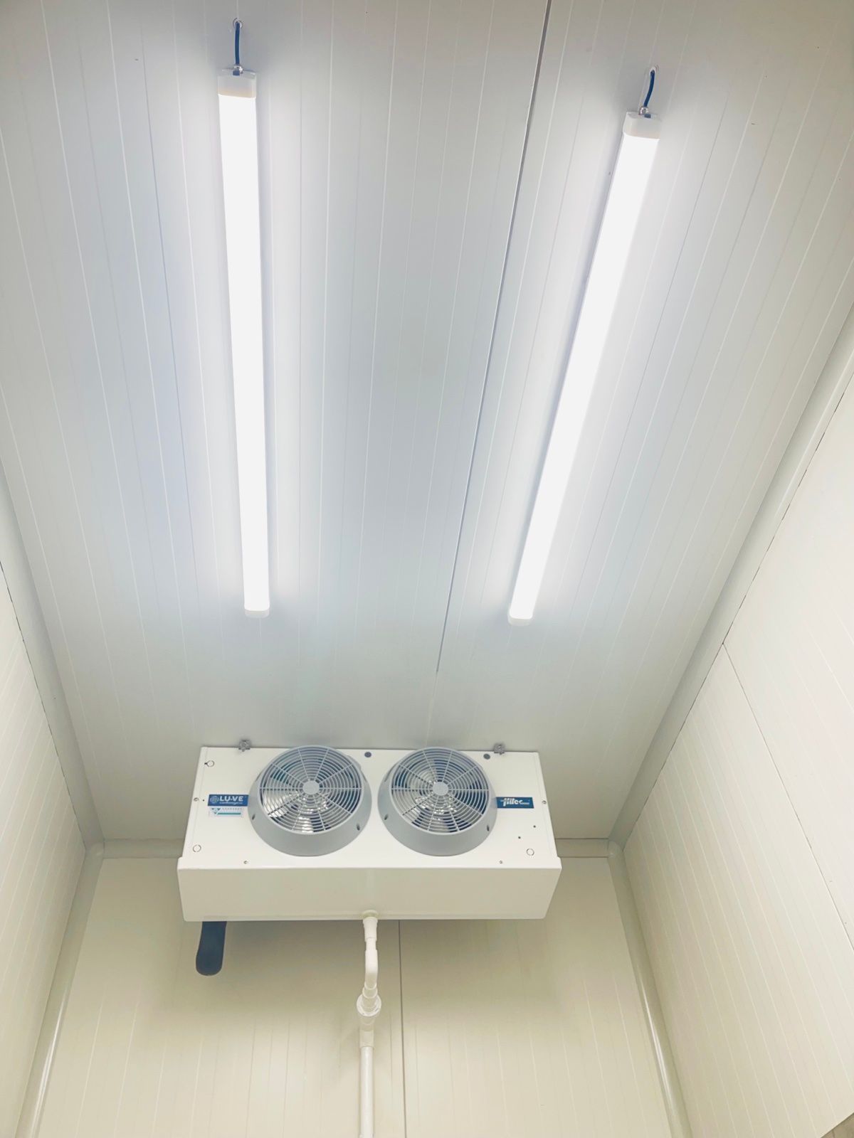 A room with two fans and two lights on the ceiling.