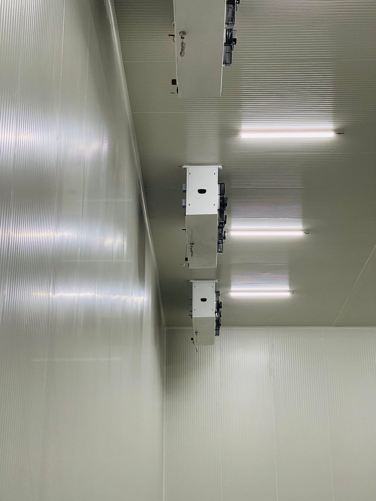 A room with a lot of lights on the ceiling and walls.