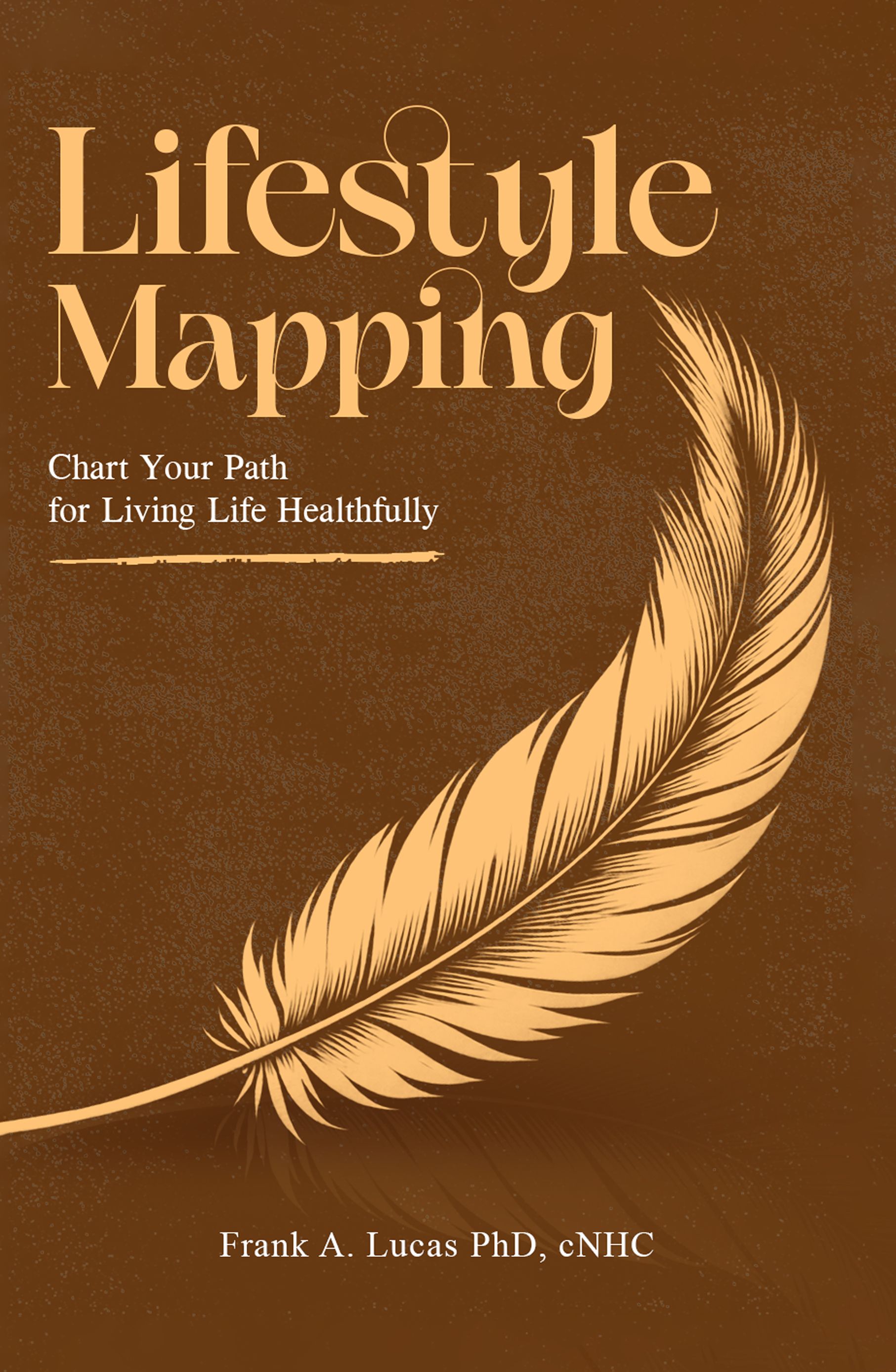 A feather is on the cover of a book titled lifestyle mapping