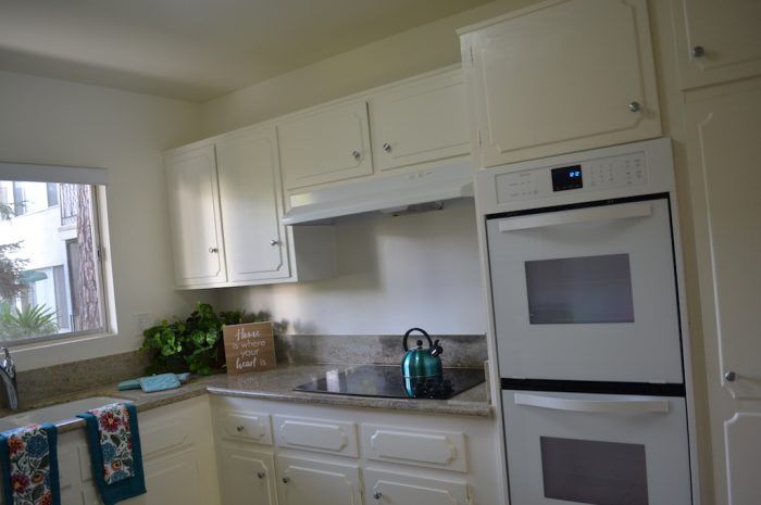 the continental arcadia interior