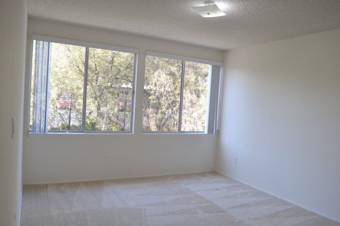 the continental arcadia interior