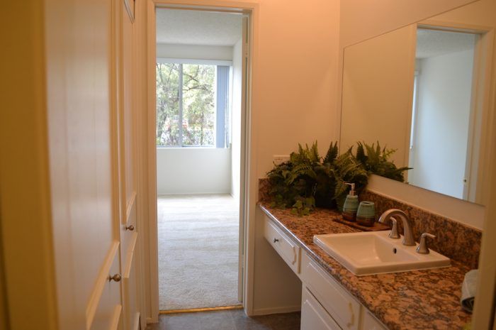 the continental arcadia interior