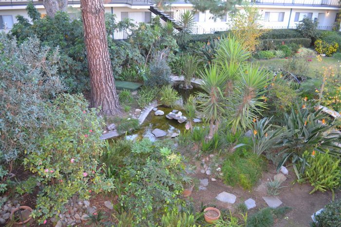 the continental arcadia exterior