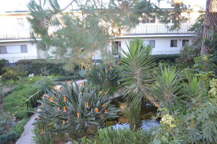 the continental arcadia exterior