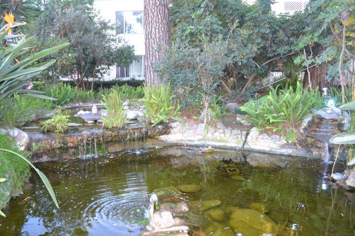 the continental arcadia exterior