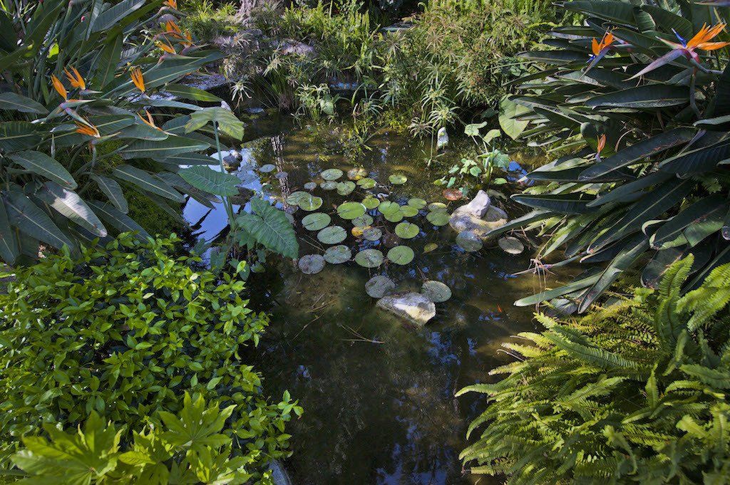 the continental arcadia exterior