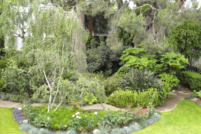 the continental arcadia exterior