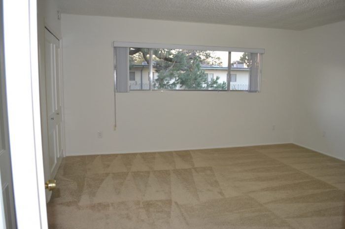 the continental arcadia interior