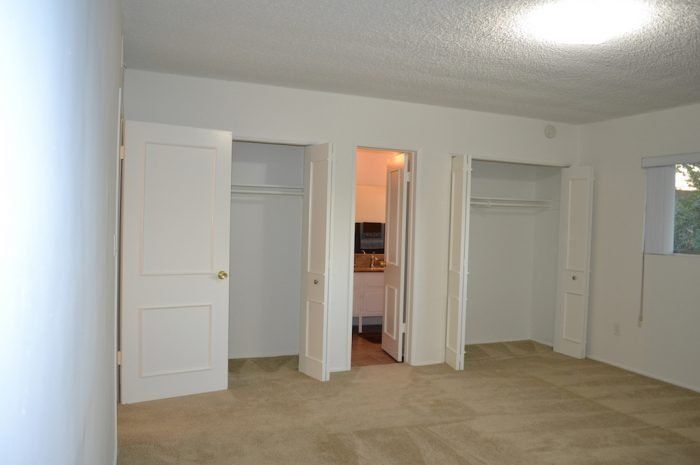 the continental arcadia interior