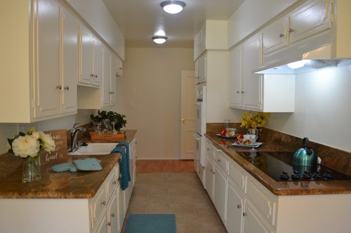 the continental arcadia interior