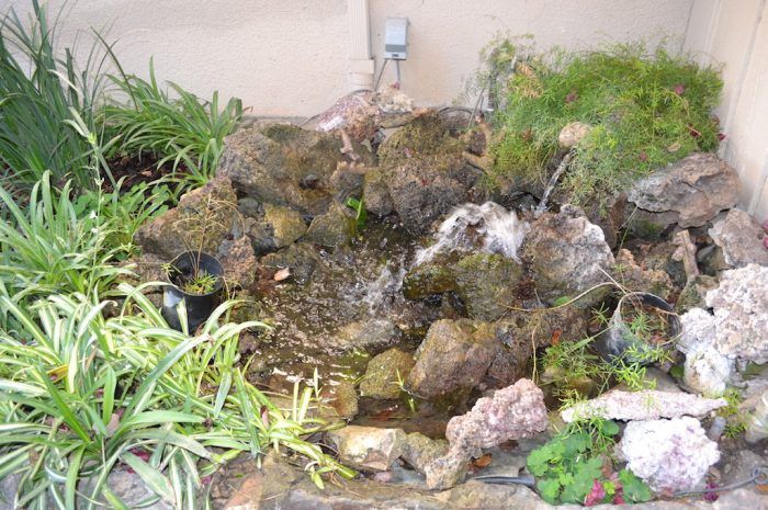 huntington sunset exterior