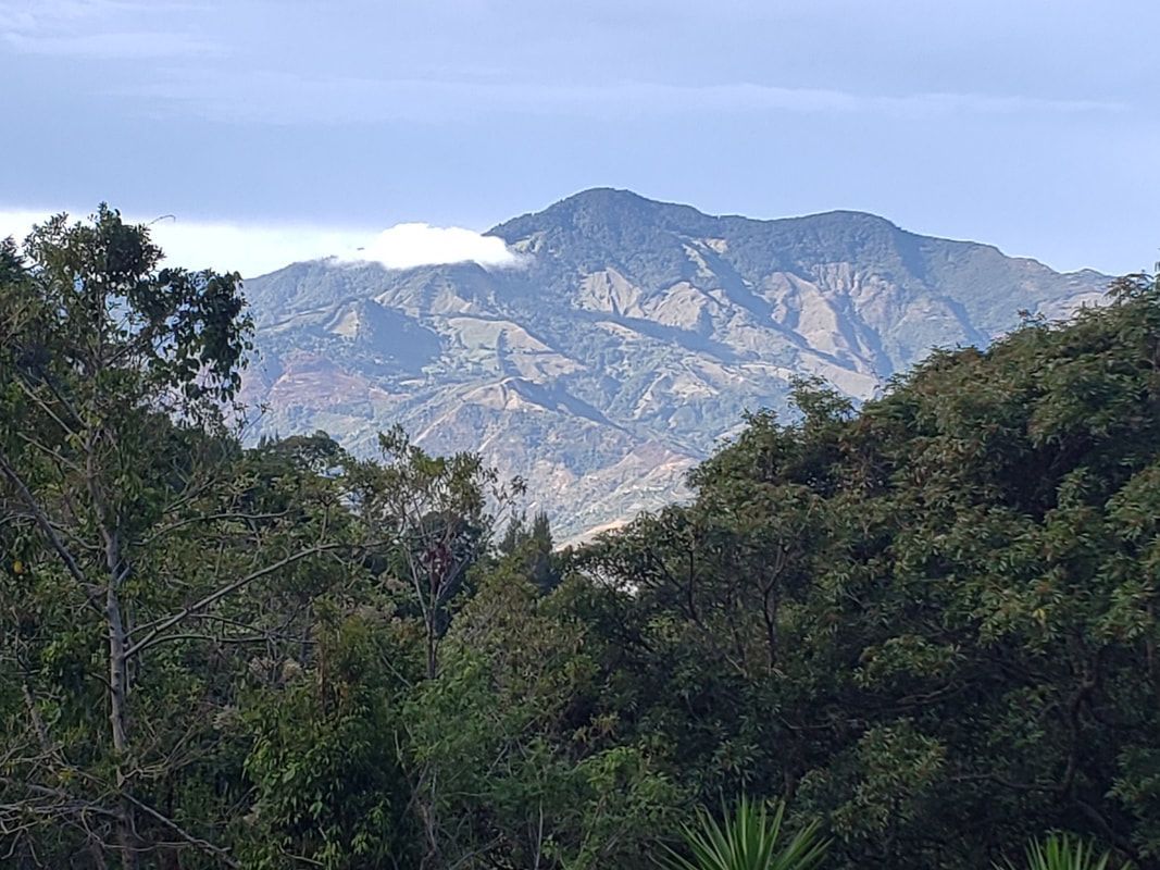Mountain peak partially obscured by clouds, viewed through trees.