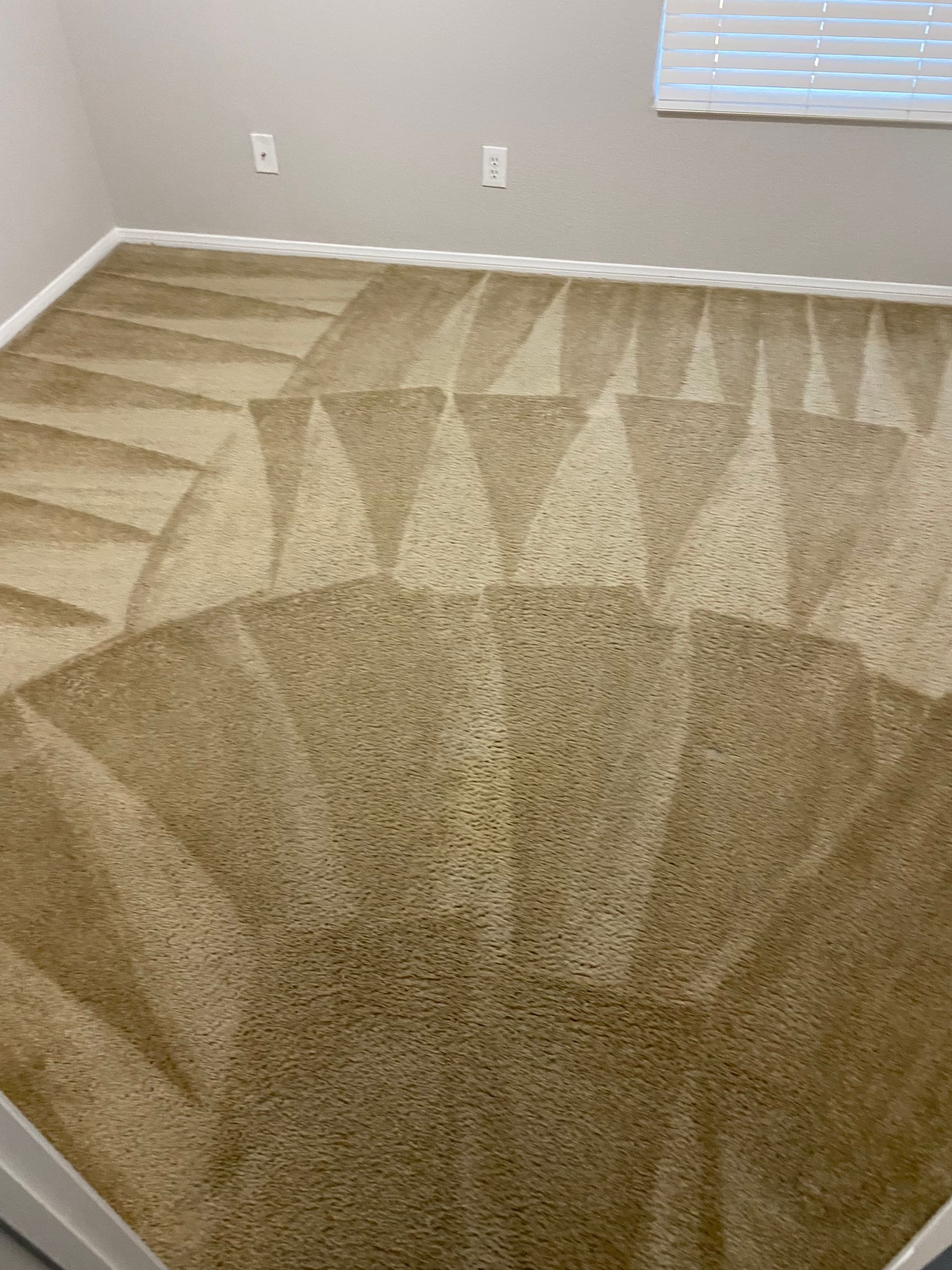 A room with a carpeted floor and a window.