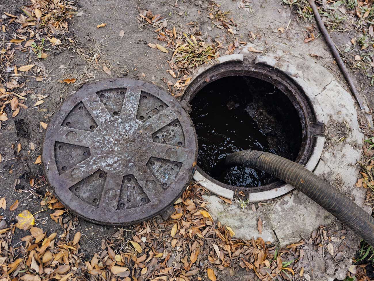 An open septic tank manhole with a vacuum pump hose inserted into the liquid waste, surrounded by fallen leaves on dirt. An open septic tank manhole with a vacuum pump hose inserted into the liquid waste, surrounded by fallen leaves on dirt.