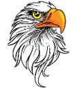 Image of the school mascot eagle