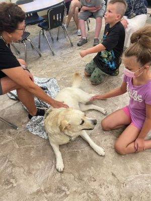 Photo of Kate Bars and her therapy dog Sadie visiting students