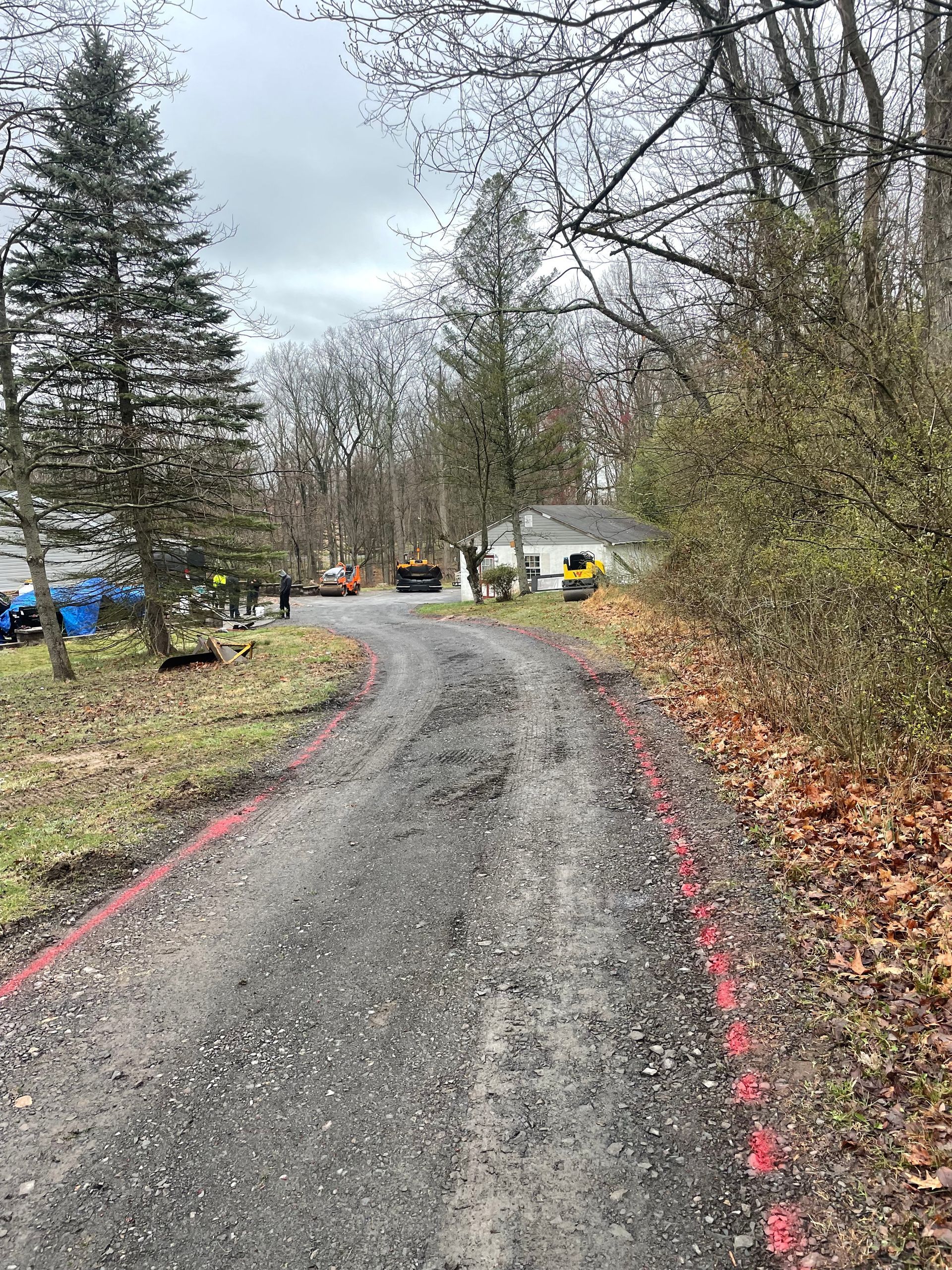 A dirt road with a red line on it going through a forest.