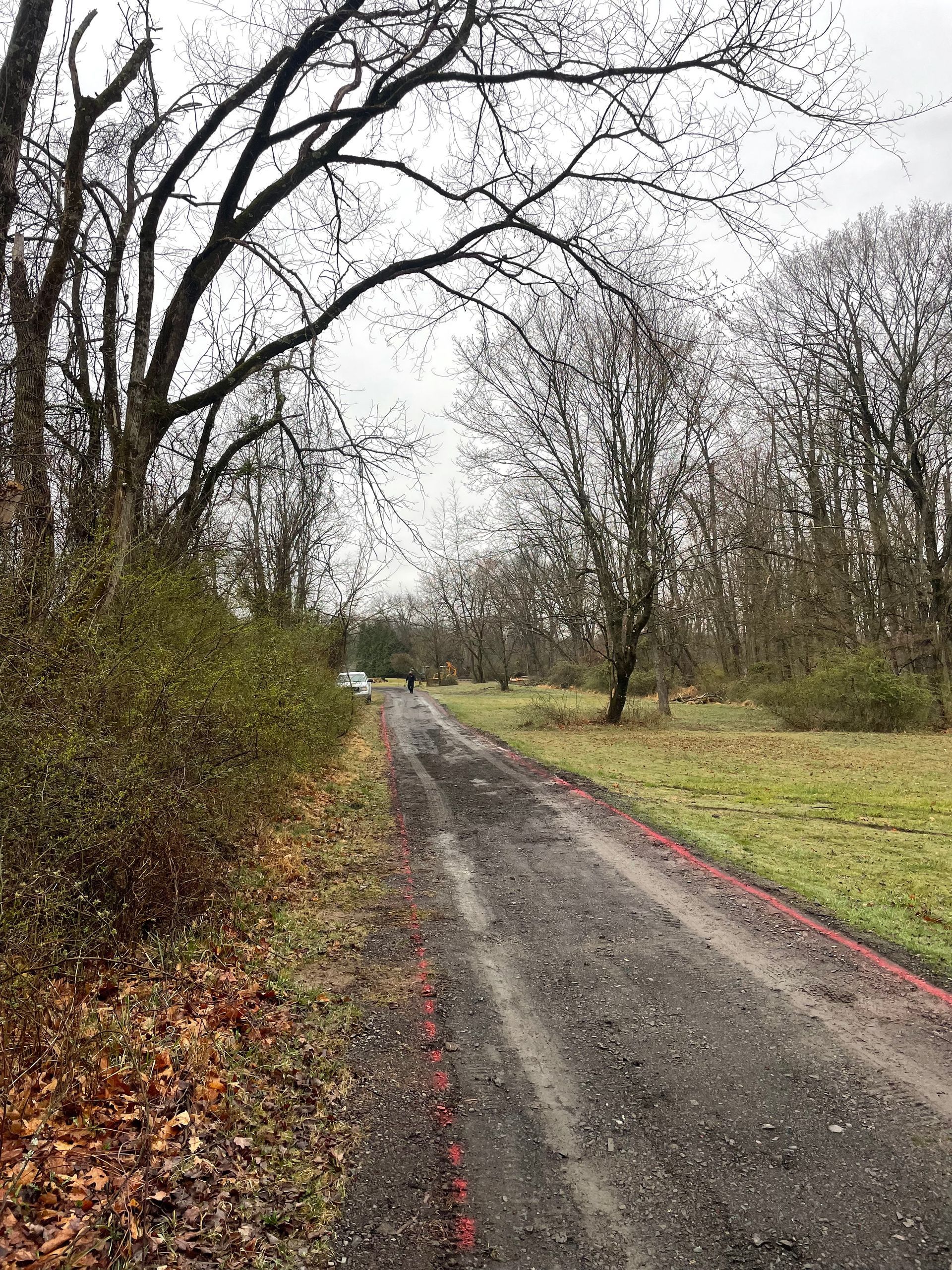 A dirt road going through a field with trees on both sides.
