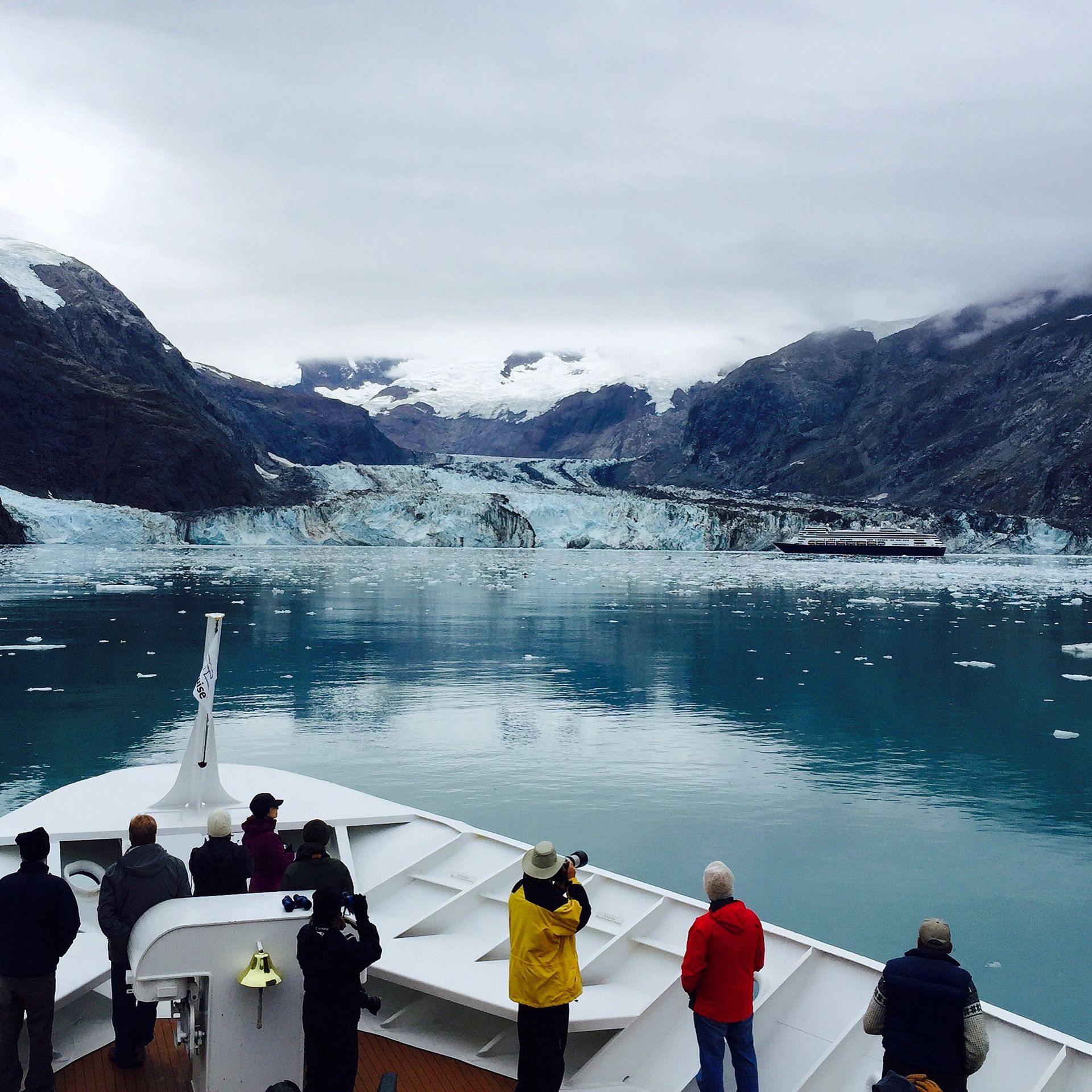 Three killer whales are swimming in the ocean.