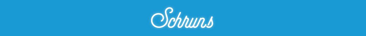 Text Schruns