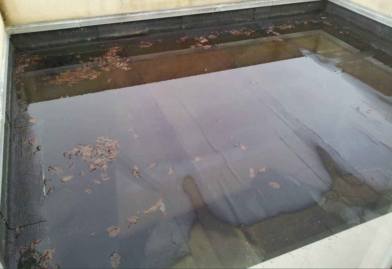 Toit plat avec eau stagnante et débris. Bordures noires.