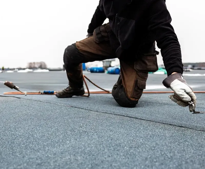 nettoyage crapaudines